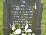 image of grave number 488859